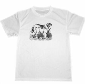 セントバーナード　ドライ　Tシャツ　犬　ドッグ　DOG　グッズ