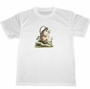 ワオキツネザル　ドライ　Tシャツ　アニマル　珍獣　動物　グッズ　ZOO