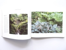 洋書◆英国庭園の写真集 本 ヨーロッパ イギリス 造園 噴水 池_画像3