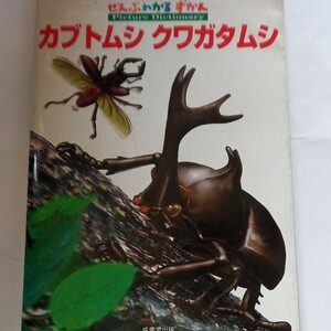 図鑑 カブトムシ、クワガタムシ