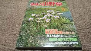 k3■趣味の山野草1984年５月飯豊連峰に咲く花、えびね銘花のいろいろ、錦蘭　現代に再現