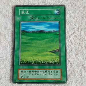 遊戯王 カード(草原 )
