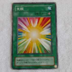 遊戯王 カード(覚醒 )