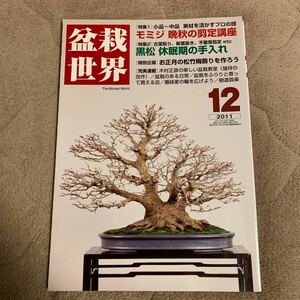 盆栽世界 2011年12月号