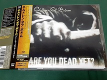 CHILDREN OF BODOM/チルドレン・オブ・ボドム◆『アー・ユー・デッド・イェット？』日本盤CDユーズド品_画像2