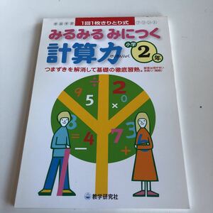 w367 みるみるみにつく 計算力 1回1枚 解答 2年生 小2 小学生 テスト 家庭学習用 復習用 小学校 ドリル 国語 算数 理科 社会 漢字 計算