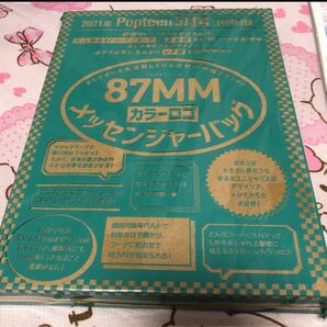 Popteen ポップティーン 付録　2021年5月号　匿名配送