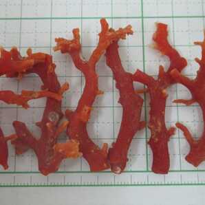 【TOP】血赤珊瑚 サンゴ 13.6g 枝 セット ルース 根付 c687.