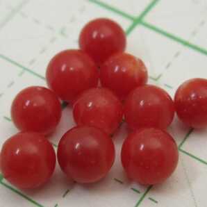 【TOP】血赤珊瑚 サンゴ 無穴ルース セット イヤリング ピアス ブローチ 根付 x260.