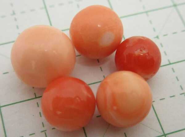 【TOP】血赤珊瑚 桃珊瑚 サンゴ 6.3~8.6mm 無穴ルース セット リング ペンダントトップ 指輪 ブローチ 根付 v513.