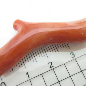 【TOP】桃珊瑚 赤珊瑚 サンゴ 6.8g ルース ブローチ ペンダントトップ 根付 s79.