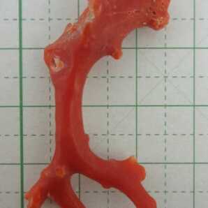 【TOP】血赤珊瑚 サンゴ 3.77g 枝 ルース 根付 r334.