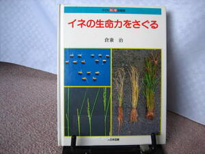 【送料込み】『イネの生命力をさぐる ～子ども科学図書館』倉兼治//大日本図書////なかなか出ない/初版