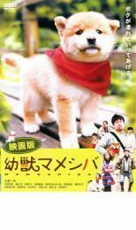 映画版 幼獣マメシバ レンタル落ち 中古 DVD