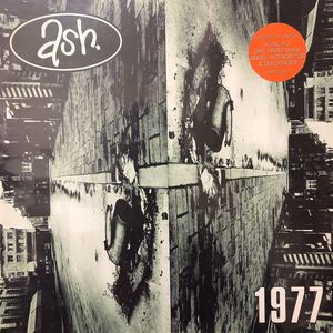 【極美品】ash / 1977 LP