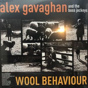 【新品 未聴品】 ALEX GAVAGHAN / WOOL BEHAVIOUR LP ビート・ポップ 初期Beatles Kinks La's Coral マージー・ビートガレージ・ポップ