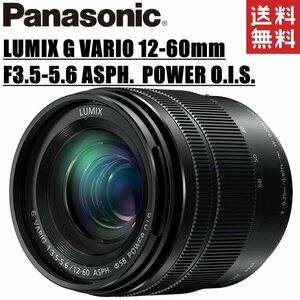 パナソニック Panasonic LUMIX G VARIO 12-60mm F3.5-5.6 ASPH. POWER O.I.S. ズームレンズ ミラーレス カメラ 中古