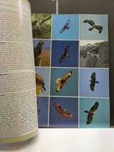 PHOTOGRAPHIC GUIDE THE BIRDS OF BRITAIN＆ EUROPE_画像2