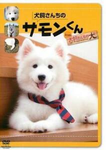 犬飼さんちのサモンくん from 犬飼さんちの犬 レンタル落ち 中古 DVD