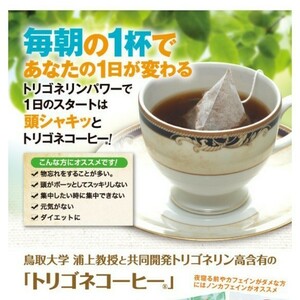 トリゴネコーヒー 澤井珈琲 ティーパック ドリップコーヒー