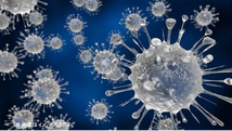 新型コロナウイルスの抵抗材　奇跡の食材でウイルスから体を守る　健康食材　２_画像2