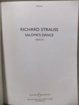 ★RICHARD STRAUSS（リヒャルト・シュトラウス）/ Salome's Dance _画像3