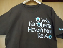 即決　ハワイ　ハワイ大学　Ｔシャツ　こげ茶色　Ｍ_画像3