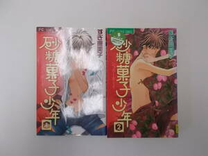 72-00751 - 砂糖菓子少年 1～2巻 完結 全巻セット すぎ恵美子 FLOWER COMICS 送料無料 レンタル落ち 日焼け有 ゆうメール発送