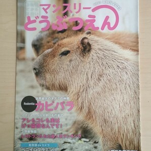 マンスリーどうぶつえん vol.25 2013年4月 上野動物園情報誌