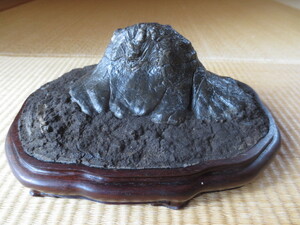 [.] old . stone single ... sea Fuji purple . pcs suiseki st width 18 centimeter 14apl2