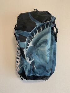 ノースフェイス シュプリーム バックパック 自由の女神 THE NORTH FACE バックパック