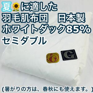  feathers body futon down Kett ... semi-double new Gold made in Japan 