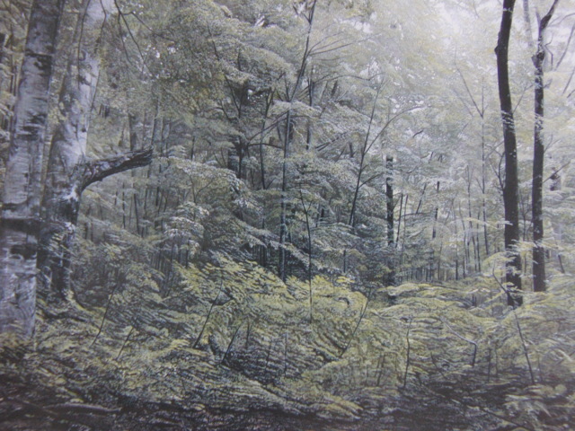 Haruo Ijima, [La forêt commence à briller], Provenant d'une rare collection d'art encadrant, Nouveau cadre inclus, En bonne condition, frais de port inclus, Peinture, Peinture à l'huile, Nature, Peinture de paysage