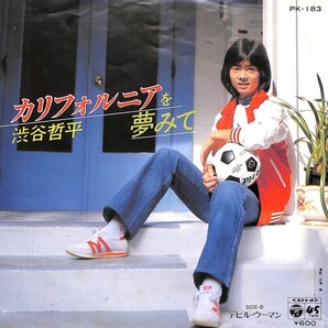 渋谷哲平「カリフォルニアを夢みて」 超音波洗浄済み
