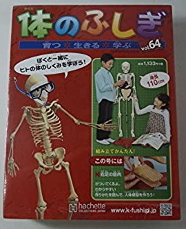 「体のふしぎ」Vol.64　2014年12月31日号　右足の筋肉　未開封/新品　アシェット・コレクションズ・ジャパン