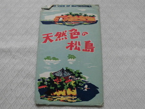 T11　絵葉書　ポストカード　天然色の松島