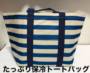 保冷 たっぷりトートバッグ 小林製薬オリジナル 未使用