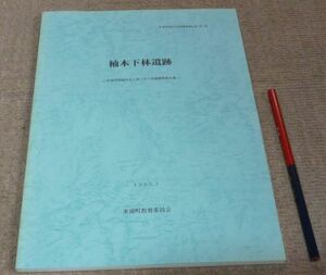 楠本下林遺跡 　津名郡町村会 編　東浦町教育委員会　/　兵庫県　淡路　遺跡