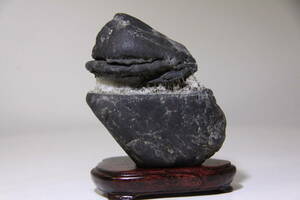  suiseki st tray stone bonsai appreciation stone shohin bonsai . stone old . stone quiet peak stone letter pack post service 