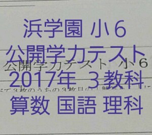 浜学園　小６　2017年 　公開学力テスト　★３教科★　算数　国語　理科