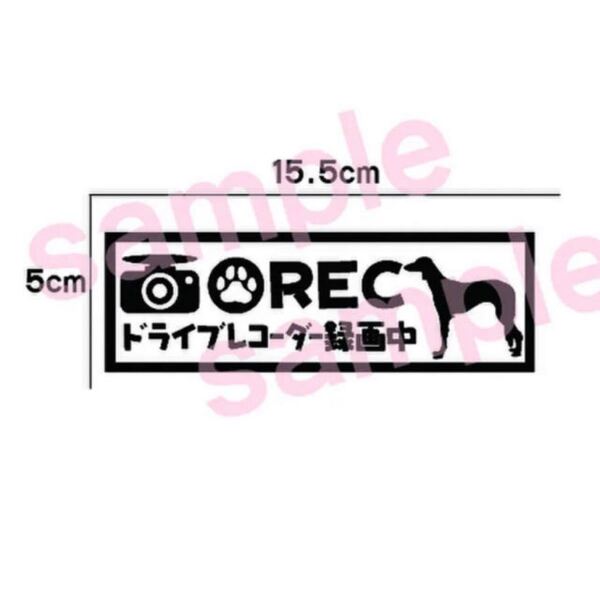 【送料無料】サルーキ Saluki 犬 ドラレコ ステッカー リアガラス 車