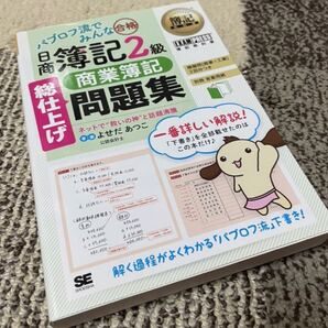 新品 簿記教科書 パブロフ流でみんな合格 日商簿記2級 商業簿記 総仕上げ問題集 テレワーク 経理 ビジネス 資格試験 簿記検定