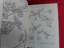N149 洋書植物図案集 DECORATIVE PLANT AND FLOWER STUDIES for Artists and Craftsmen　_画像2
