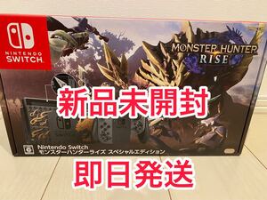 Nintendo Switch モンスターハンターライズ スペシャルエディション
