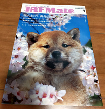 那須川天心◆JAF Mate 2021年4月 ジャフメイト_画像2