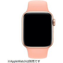 送料無料 新品未開封品 apple watch純正品バンド 42mm/44mm/45mmケース用 グレープフルーツスポーツバンド - レギュラー MXNY2FE/A 正規品_画像3