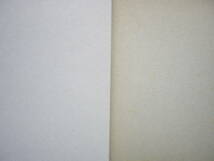 ルーズリーフ（A4版）２冊セット/「方眼紙/1㎜方眼（250×180）」＋「TABULATION PAPER（集計用紙/横罫6.5mm40行）」_画像5