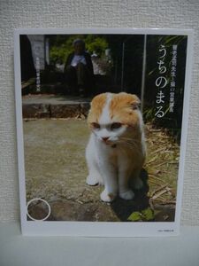 うちのまる 養老孟司先生と猫の営業部長 ★ 有限会社養老研究所 ◆ ユーモアたっぷりの猫本決定版 養老先生とまる部長のこれが癒しの時間