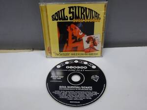 CD / SOUL SURVIVAL / SOUL SOUNDS + THE SENATE / SOCK IT TO YOU ONE MORE TIME / MODS ニッキー・ホプキンス【UK/ZIRC1007】AK0288