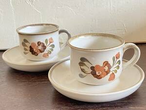 イギリス　DENBY 　セレナーデ　カップ＆ソーサー ２客　デンビー/ストーンウェア/189-３